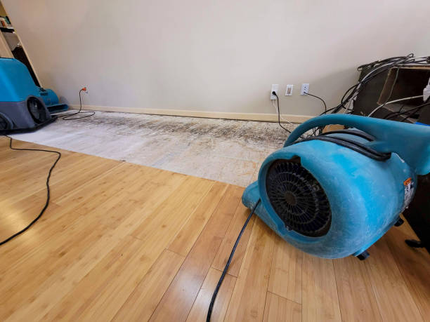 Professional Water Damage Repair technician working in Newry, ME